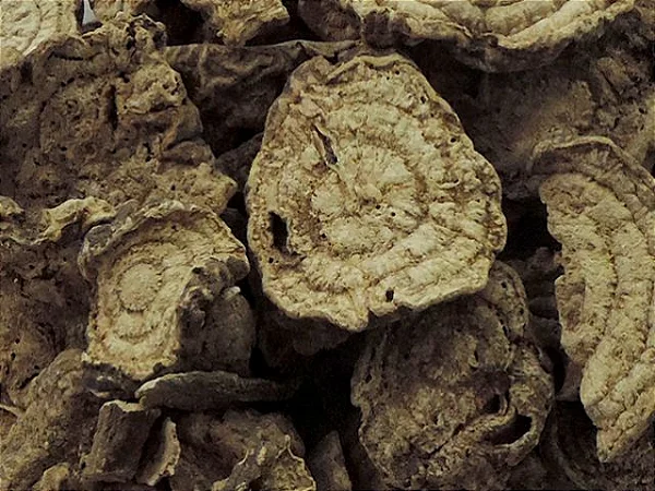 onde comprar batata de purga