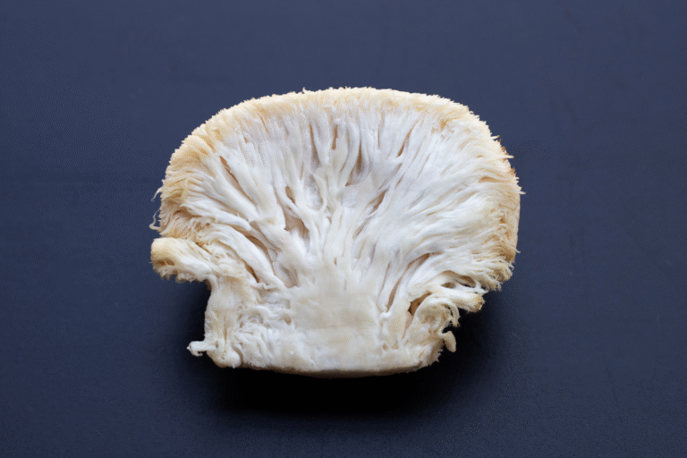 Onde Comprar Cogumelo Juba de Leão: Guia de Compras no Brasil